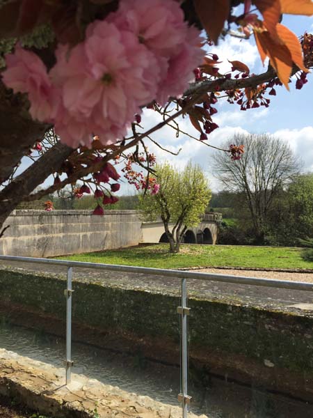 Le Moulin de Trancart_86160 MARNAY_8 Le Moulin de Trancart_86160 MARNAY_8